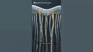 SkinCeuticals A.G.E INTERRUPTER ADVANCED